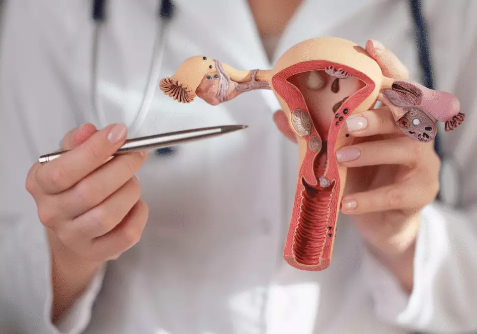 Endometrial Cancer treatment in ayurveda | Arogyavedh Ayurveda | Dr. Banashree Patil Baner Balewadi