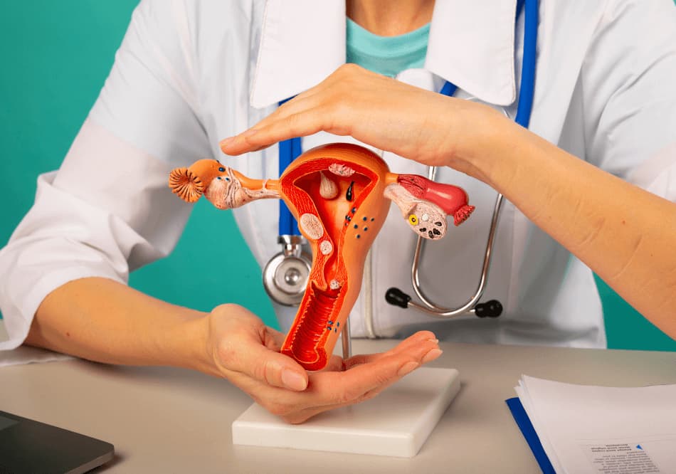 Infertility Treatment in Ayurveda – Baner Balewadi, Arogyavedh Ayurveda Dr. Banashree Patil