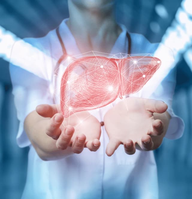 Ayurvedic Liver Treatment Benefits Arogyavedh Ayurveda Dr Banashree Patil