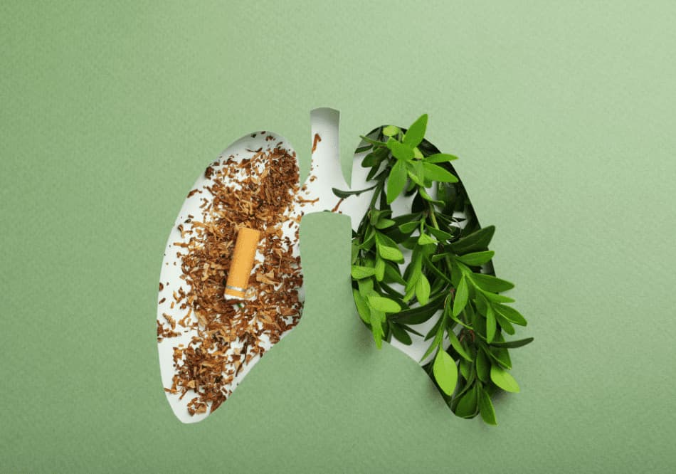 Lung Disease and Asthma Treatment in Ayurveda Pneumonia treatment in Ayurveda Ayurvedic medicines and Panchakarma for Lung Disease