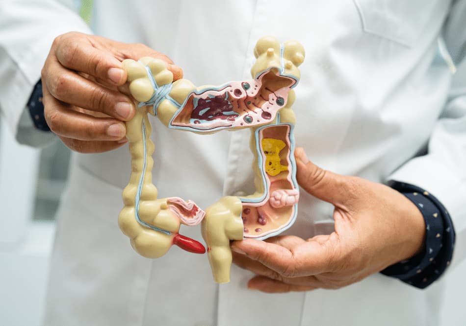 Ayurvedic treatment for Appendix Arogyavedh Ayurveda Baner Balewadi
