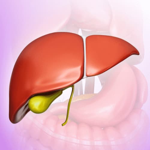Gall Bladder Stone Ayurvedic Treatment Arogyavedh Ayurveda Dr. Banashree Patil