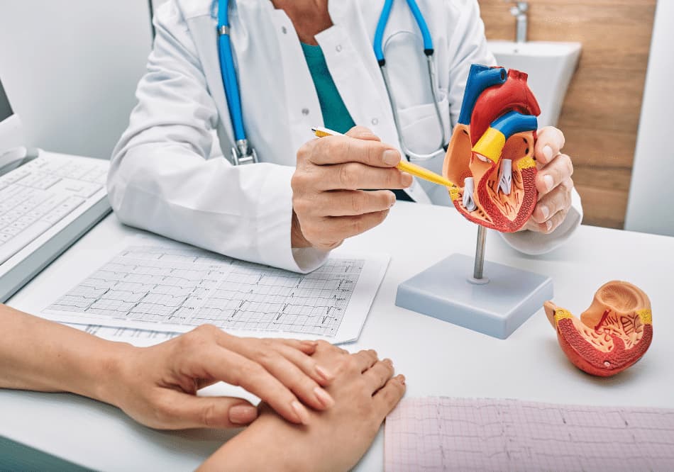Heart Disease and Hypertension Treatment in Ayurveda Arogyavedh Ayurveda Dr. Banashree Patil Baner Balewadi